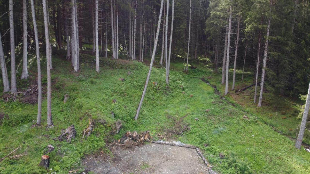 Chalet Resort Sozzine Ponte Di Legno Zewnętrze zdjęcie